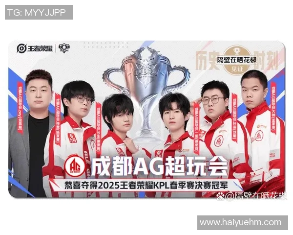 巅峰对决：FMVP选手在王者荣耀中的精彩个人表现与战术解析