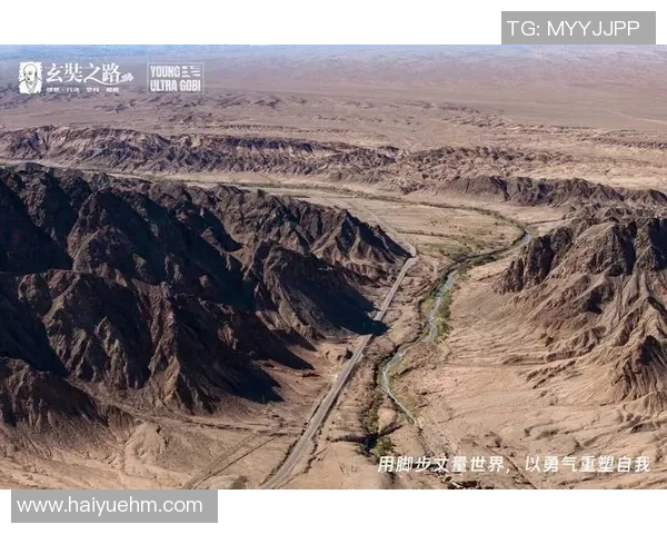 格斗游戏在挑战与机遇中重塑自我发展之路 格斗游戏在挑战与机遇中重塑自我发展之路